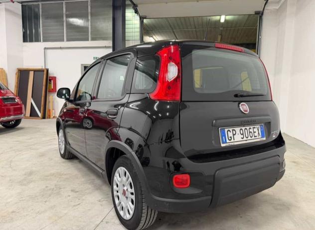 Fiat Panda 1.0 FireFly S&S Hybrid - Foto 3