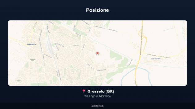 Immobile in asta di 6550 m² in vendita a Grosseto - Foto 5
