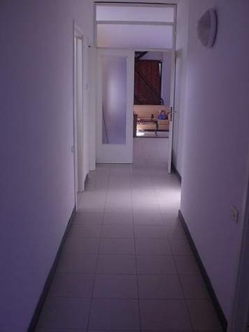 Appartamento in affitto a Perignano - Casciana Terme Lari 180 mq Rif: 77899