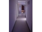 Appartamento in affitto a Perignano - Casciana Terme Lari 180 mq  Rif: 77899