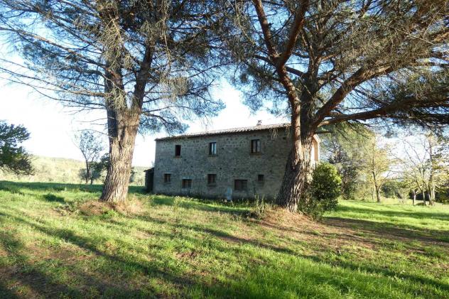 Rustico casale in Vendita in zona MONTEMASSI con giardino - Foto 6