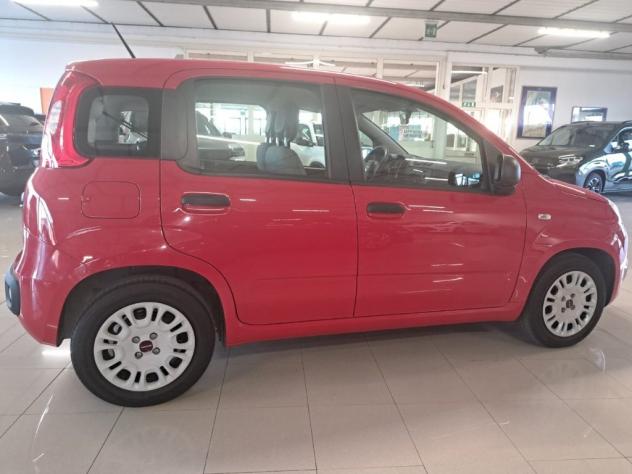 FIAT Panda III 2021 1.0 firefly hybrid s&s 70cv - Foto 8