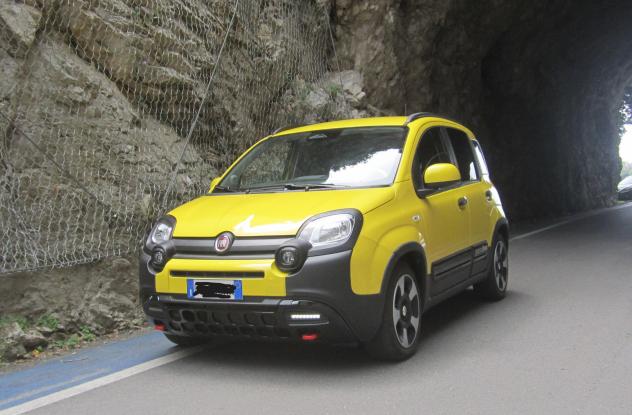 Fiat Panda Cross 1.0 FireFly S&S Hybrid