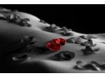 Massaggi - benessere Napoli - IL SENSO Tel:3898953808