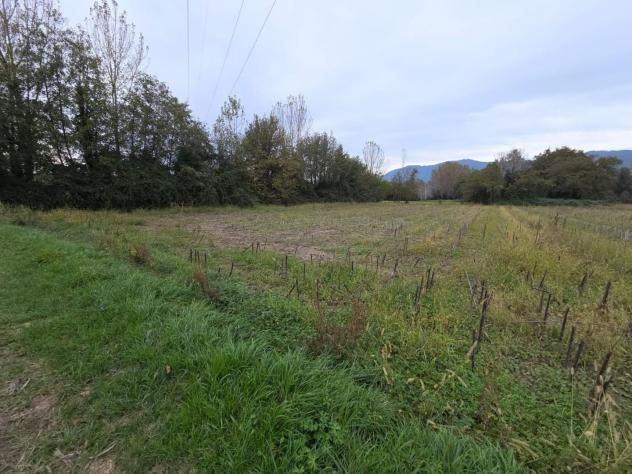 Terreno agricolo in vendita a Segromigno In Piano - Capannori 2000 mq Rif: 1383536