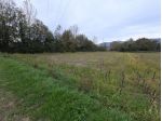 Terreno agricolo in vendita a Segromigno In Piano - Capannori 2000 mq  Rif: &hellip;