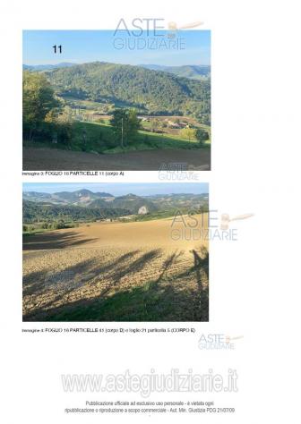IMMOBILI-ALTRA CATEGORIA-Localita' La Ratina SNC - Foto 3