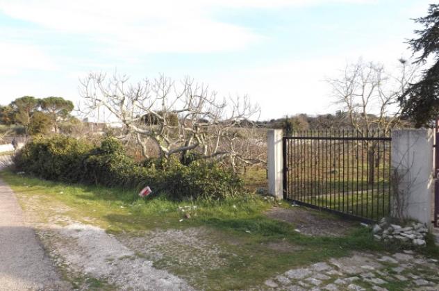 Immobile in asta di 3514 m² in vendita a Putignano - Foto 3