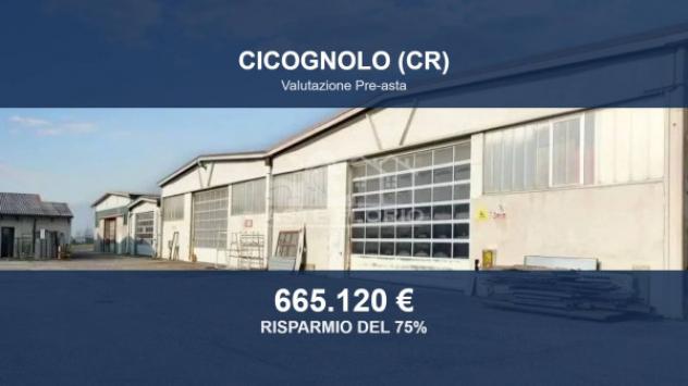 Immobile in asta di 7628 m² in vendita a Cicognolo