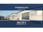 Immobile in asta di 7628 m² in vendita a Cicognolo