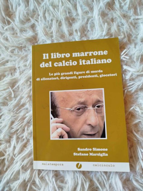 Sandro Simone, Stefano Marsiglia, Il libro marrone del calcio italiano