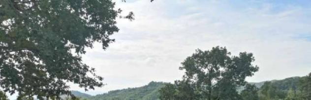 Immobile in asta di 54494 m² in vendita a Barberino di Mugello - Foto 16