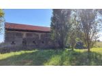 Rustico/Casale/Corte - Cavarzere . Rif.: C0542VCG