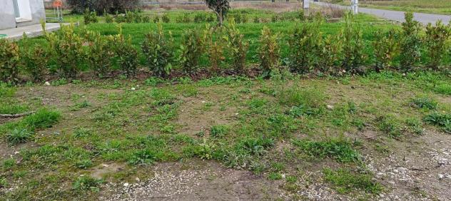 Magazzino in vendita a San Frediano a Settimo - Cascina 60 mq Rif: 1277307 - Foto 3