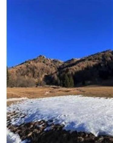 Immobile in asta di 17391 m² in vendita a Telve di Sopra - Foto 2