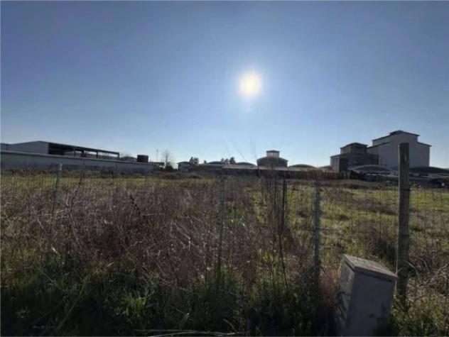 Immobile in asta di 1500 m² in vendita a Tresignana - Foto 3