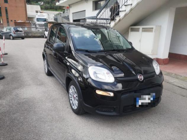 FIAT Panda 1.0 FireFly S&S Hybrid rif. 23745738