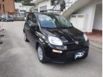 FIAT Panda 1.0 FireFly S&S Hybrid rif. 23745738