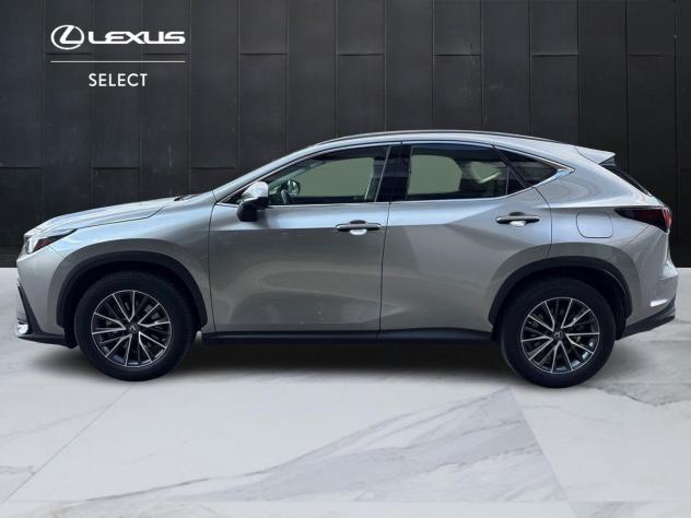 Lexus NX 350h Hybrid 4WD Business - Foto 6