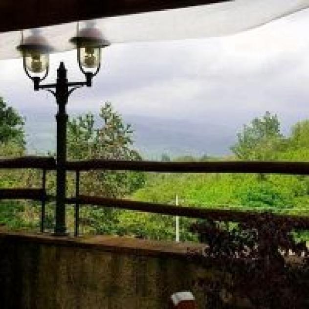 Podere Il Sorriso degli Angeli di Neri Consuelo - Foto 4