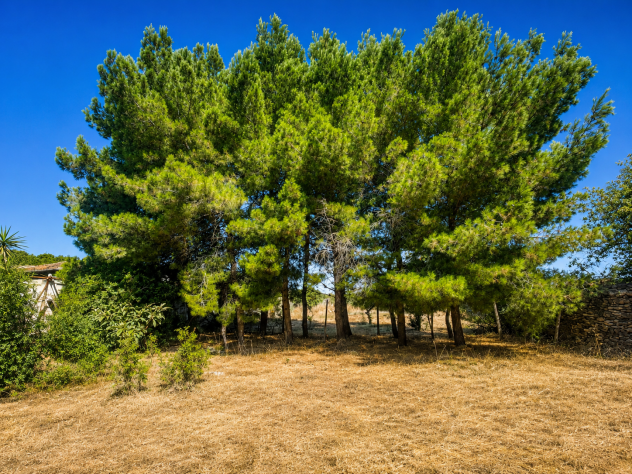 TERRENO IN VENDITA - Foto 2