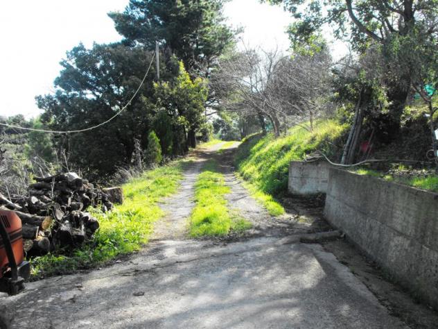 Villa in Località Carullo - Foto 4