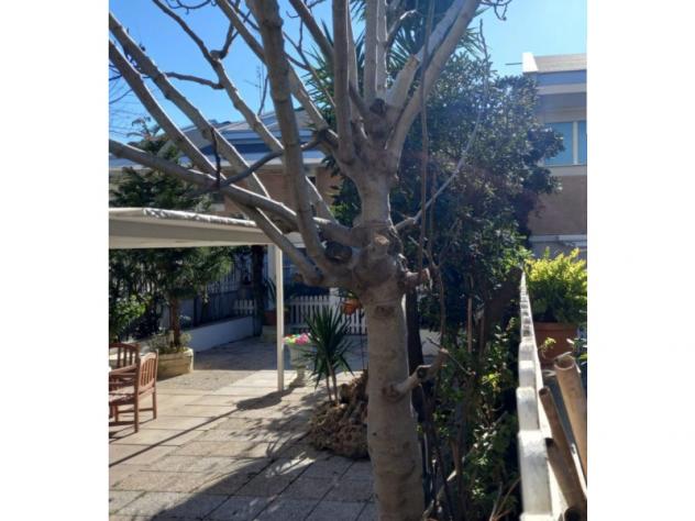 Appartamento in Via Andrea Doria - Foto 12