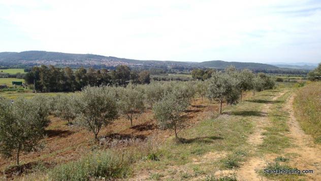 Donori, a 2 km dal paese, complesso agricolo-turistico di recente costruzione - Foto 19