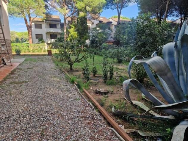 Villa in affitto a Vada - Rosignano Marittimo 65 mq Rif: 1304619 - Foto 4