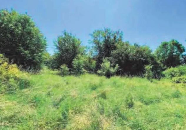 Immobile in asta di 3904 m² in vendita a Cossato - Foto 4