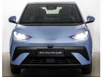 BYD DOLPHIN SURF ACTIVE 88Ccv Batteria 30kwh