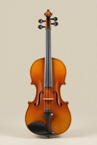 Lezioni di Violino per bambini e adulti principianti