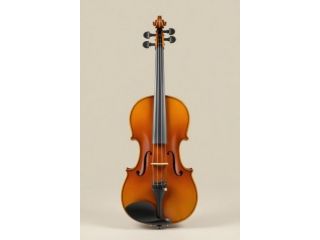 Lezioni di Violino per bambini e adulti principianti