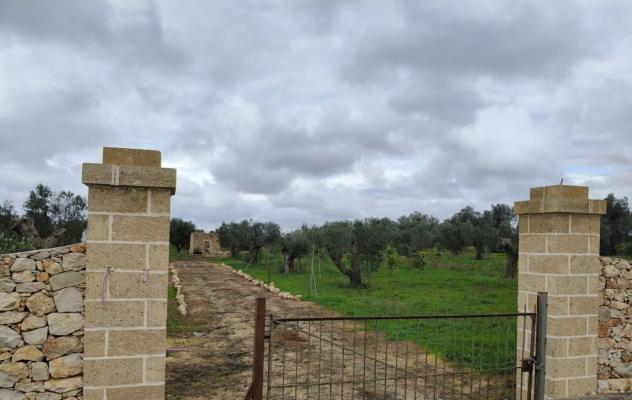 Terreno edificabile in vendita a Sannicola - Foto 3