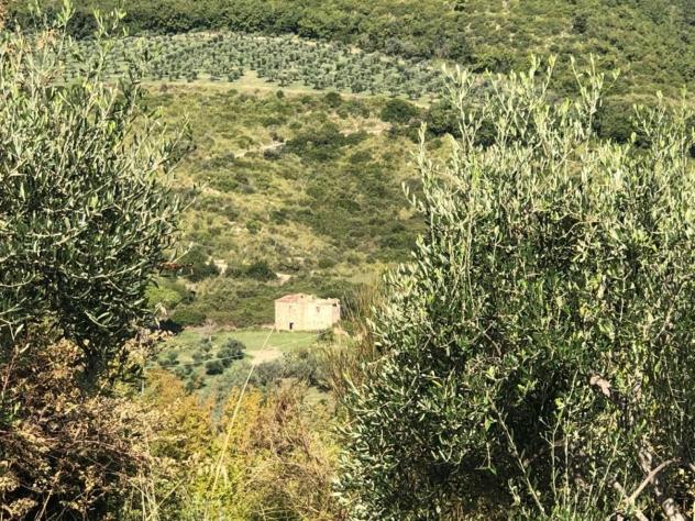 Agricolo in Via Frascinelle - Foto 15