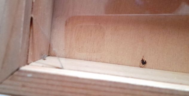 bacheca in legno con vetro 60x40xh6 - Foto 3