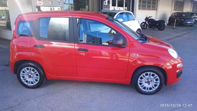 FIAT Panda 1.0 FireFly S&S Hybrid rif. 23002127 - Foto 2