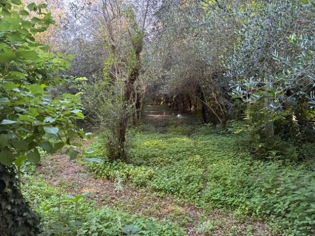 Baita/Chalet/Trullo in vendita a Cascine - Buti 30 mq Rif: 1420846 - Foto 4