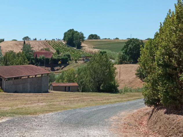 Riparbella: piccolo nido in giardino di ulivi, 15 minuti dal mare - Foto 7
