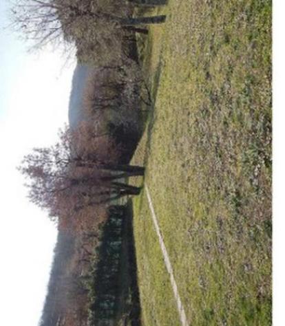 Immobile in asta di 2320 m² in vendita a Magione - Foto 3