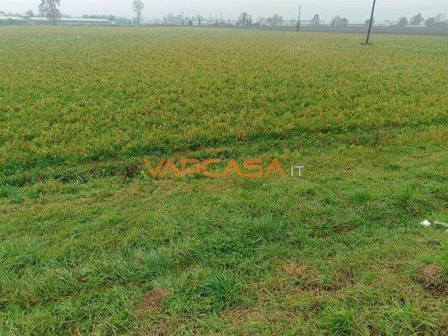 TERRENO AGRIOLO PIANEGGIANTE CON ACCESSO DIRETTO - Foto 6