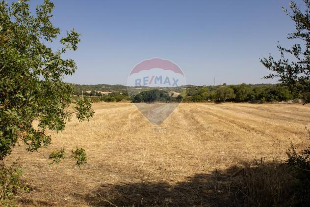 Terreno in vendita a Noto, Testa Dell'acqua - Foto 4