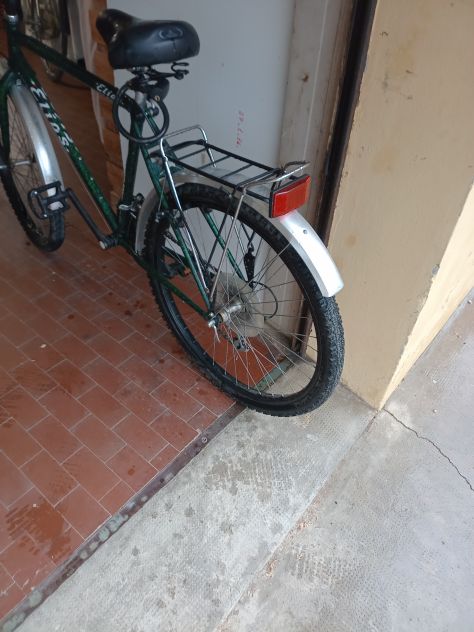 Bicicletta - Foto 3