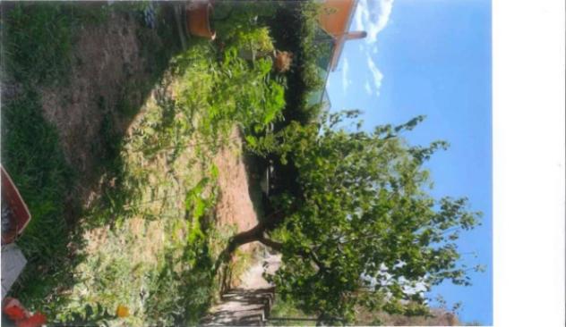 Immobile in asta di 105 m² con più di 5 locali in vendita a Canino - Foto 3