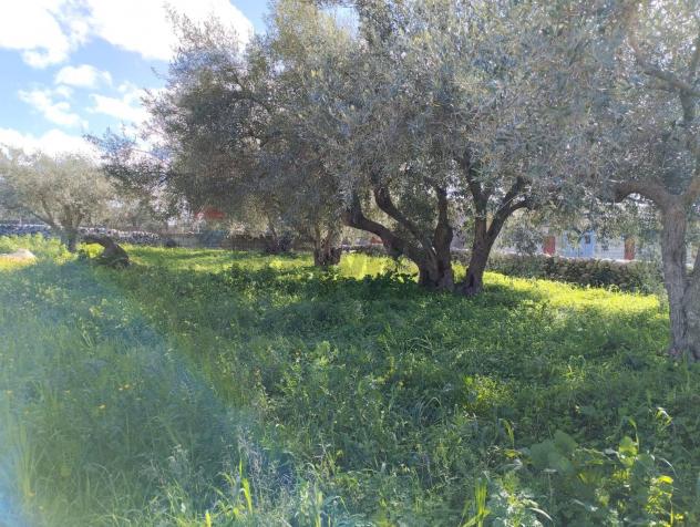 Casa Indipendente in vendita a Modica, Modica Sorda - Foto 11