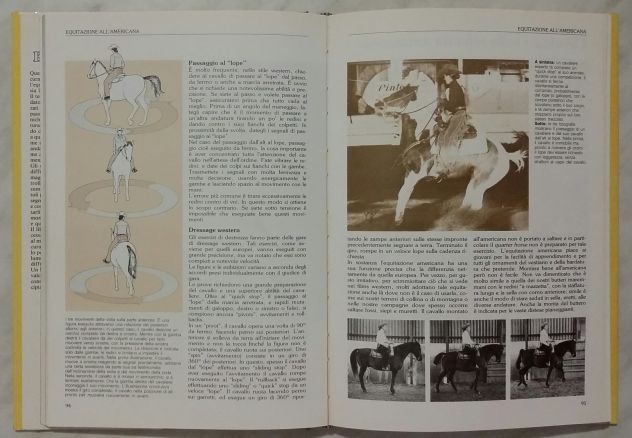 Manuale di equitazione di Sally Gordon Editore: De Agostini, 1987 perfetto - Foto 2