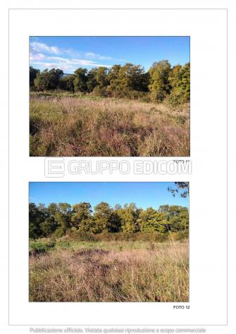 Terreno di 13507 mq in vendita a Bracciano - Rif. 4556556 - Foto 4