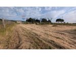 Terreno in vendita a Vittoria