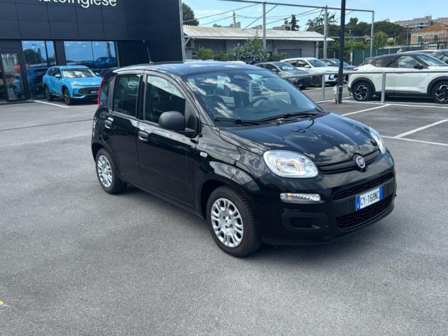 FIAT Panda 1.0 FireFly 70cv S&S Hybrid Pandina - Foto 3