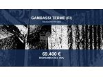 Immobile in asta di 122 m² con più di 5 locali in vendita a Gambassi Terme